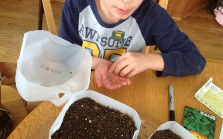 image of youth planting seeds